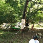 11/20(日) インディと遊ぼう〜ロープ遊び〜