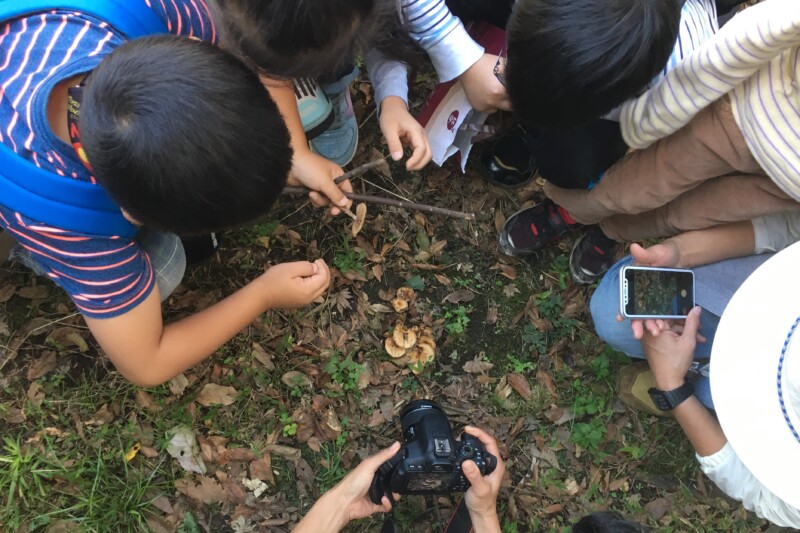 行ってきました!キノコツアー